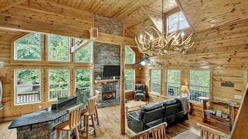 TV, fireplace, video games, books