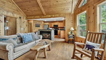 Televisor, llar de foc, videojocs i oficines