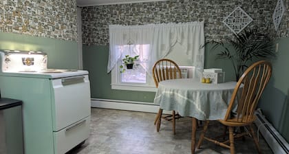 The Dexter Suite. Now with Plants! Vintage-styled 1-bedroom apt near downtown
