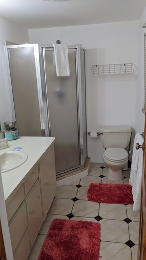 Douche, sèche-cheveux, serviettes fournies, savon