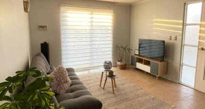 Furnished house in residential area