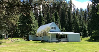 Peaceful Cabin Rental in the wilderness of the Idaho Panhandle