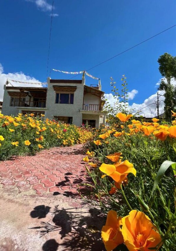 A building with a brick pathway leading to it, surrounded by vibrant yellow flowers.