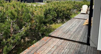 Child-friendly apartment in the mountains