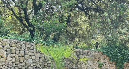 Ă NĂźmes au cĆur de la nature avec piscine