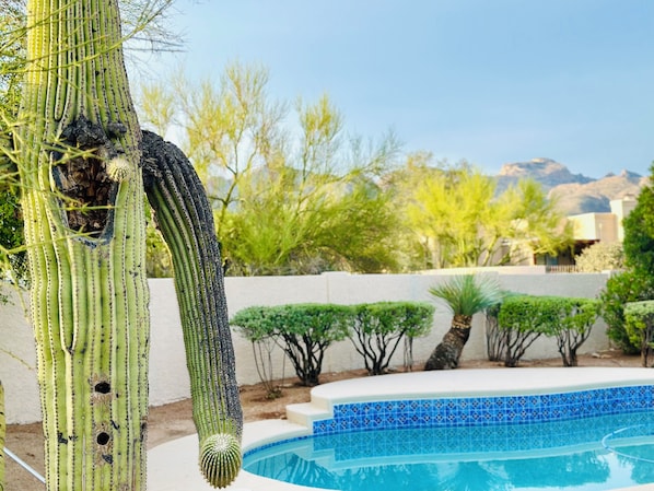 Una piscina al aire libre, una piscina climatizada