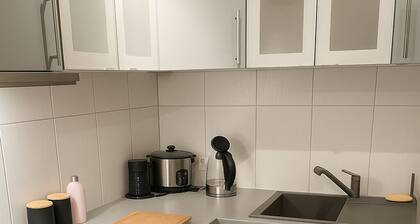 Charming apartment with terrace and parking space near the Rhine and Bonn city center