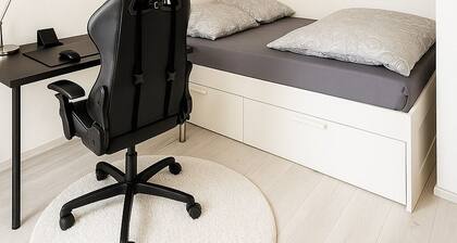 Charming apartment with terrace and parking space near the Rhine and Bonn city center