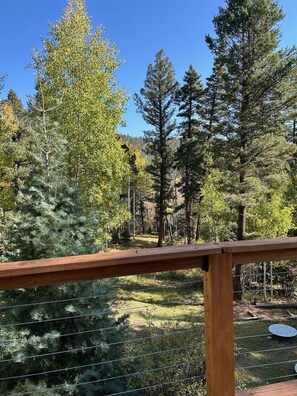 Property grounds - Rustic 2BR solar cabin near Taos — unplug, unwind, and enjoy the views. (Taos)
