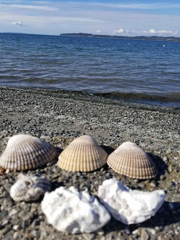 Spiaggia