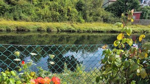 Una masa de agua tranquila con una cerca, abundante vegetación y un edificio rojo al fondo.