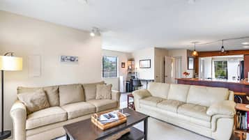 TV, fireplace, offices