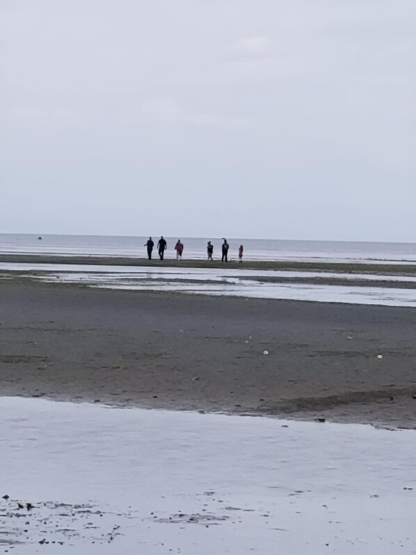 Une plage où l’on voit un groupe de personnes se promener le long du rivage.