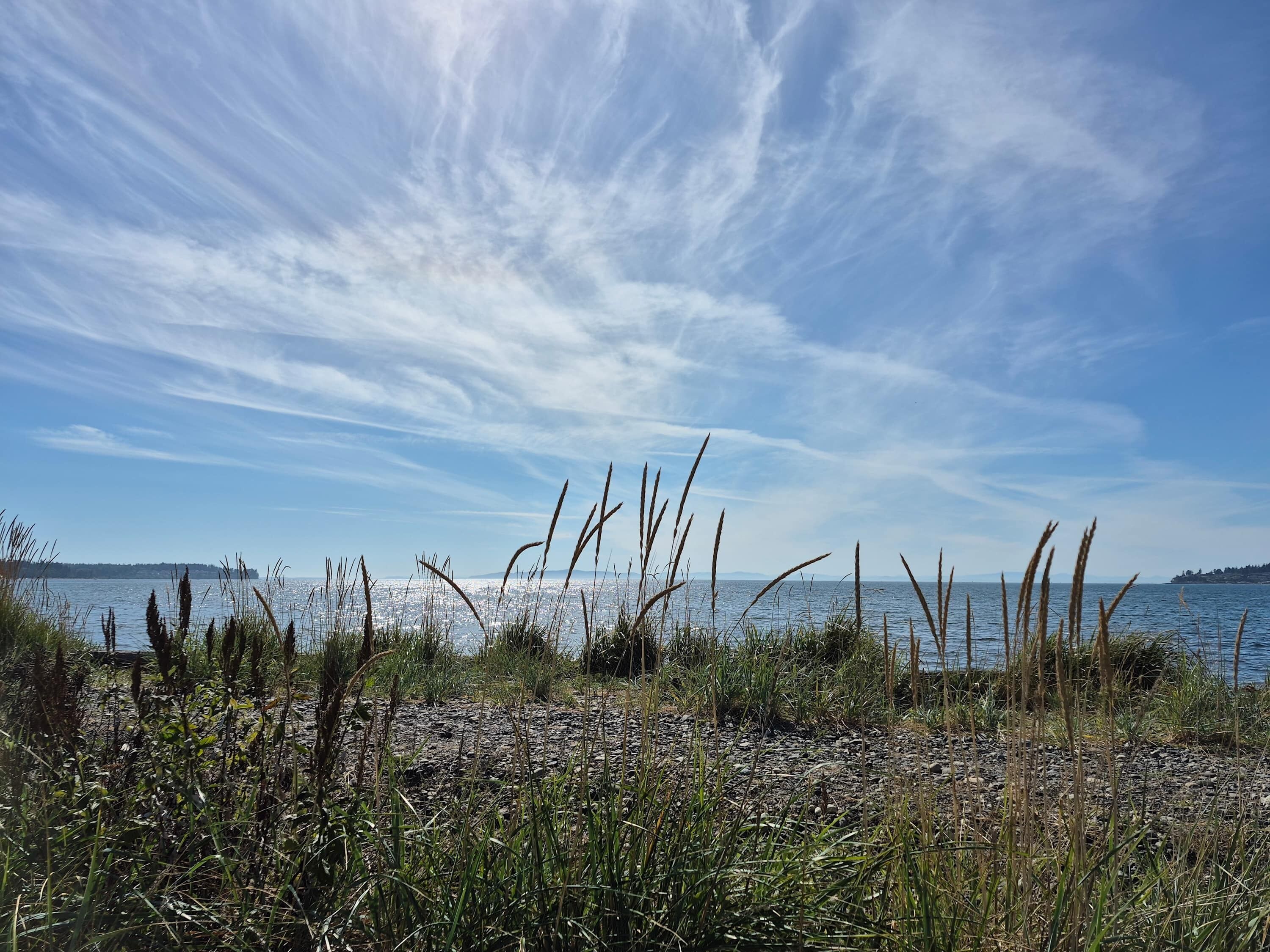 A coastal landscape with a clear sky, foreground vegetation, and a distant shoreline.