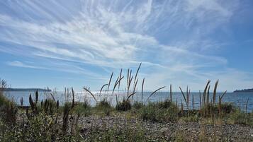 A coastal landscape with a clear sky, foreground vegetation, and a distant shoreline.