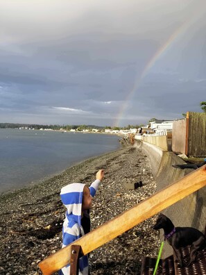 A beach scene with a child pointing at a rainbow, a dog, and a wooden railing.