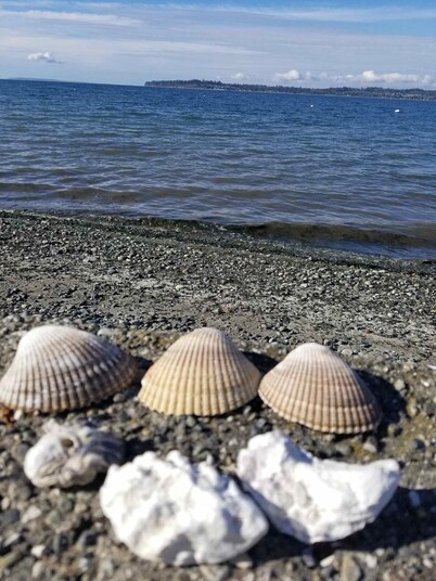 Studio with covered deck and Birch Bay View