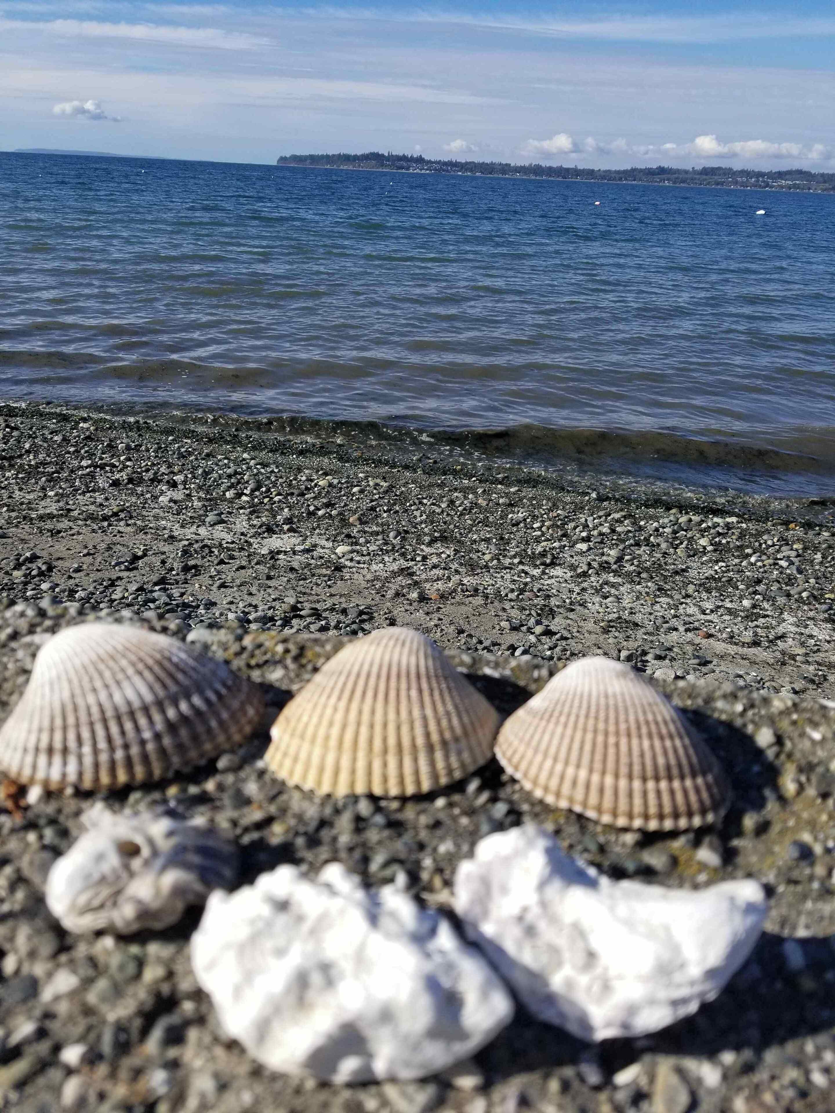 海滩