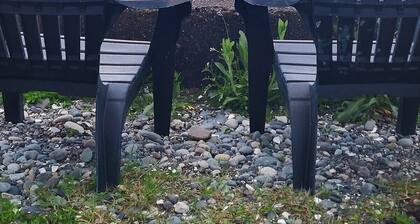 Sweet Caravan Tiny Home by creek & bay. Twin bed.