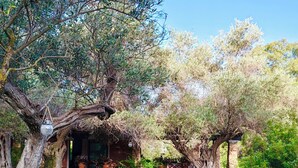 Una casa de piedra rústica con jardín, rodeada de olivos y un césped bien cuidado.