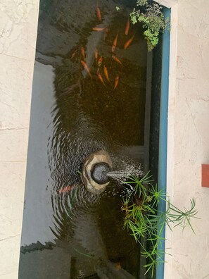 別墅, 3 間臥室, 無障礙, 私人泳池 | 其他設施