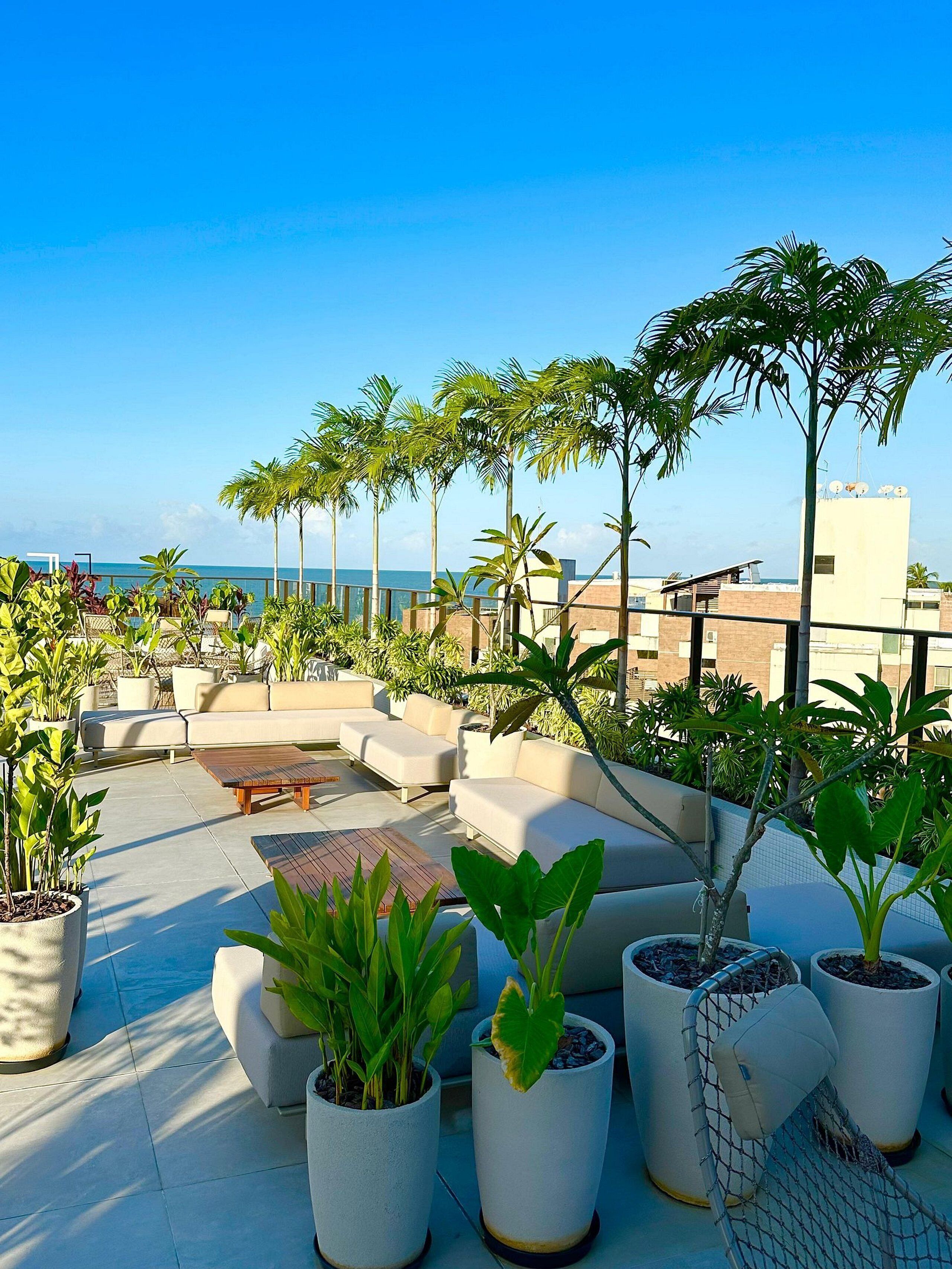 Departamento básico | Terraza o patio