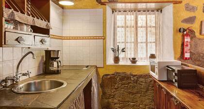 Authentic Canarian House in the Center o
