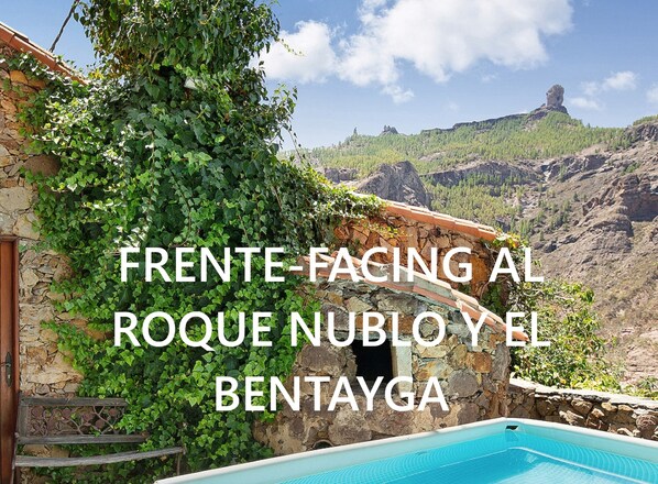 Loft, 2 Bedrooms, Smoking, Private Pool | Pool
