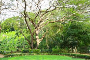 Jardines del alojamiento