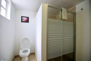 Shower, towels, soap, toilet paper