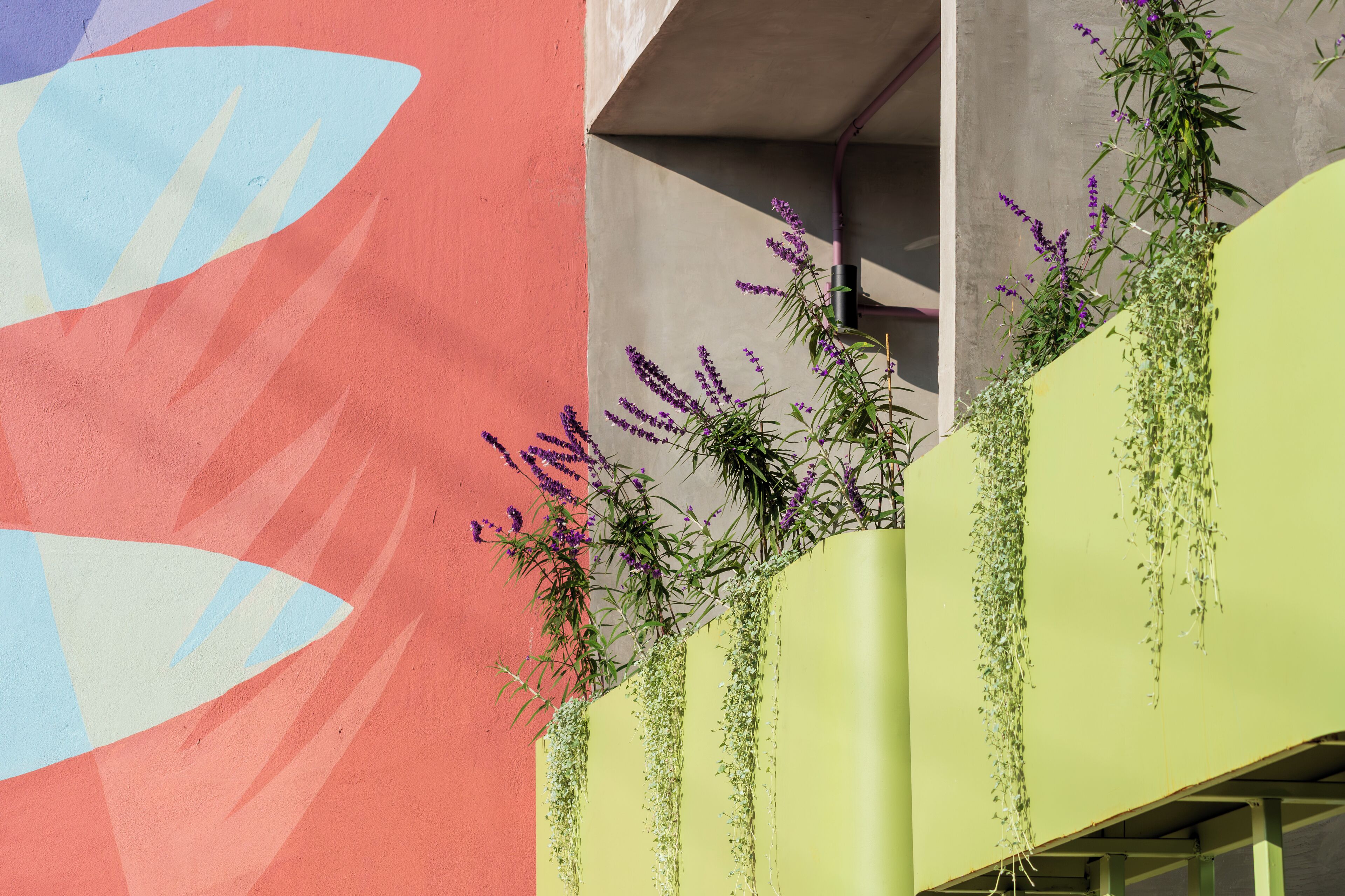 Un edificio con un mural colorido y jardines verticales con flores moradas.