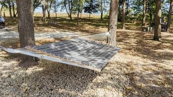 Un'amaca sospesa tra gli alberi in un ambiente naturale, con terreno ghiaioso.