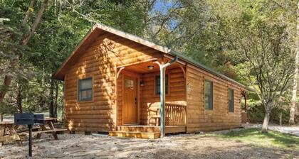 The Narrows Cabins #2960 - The Nest