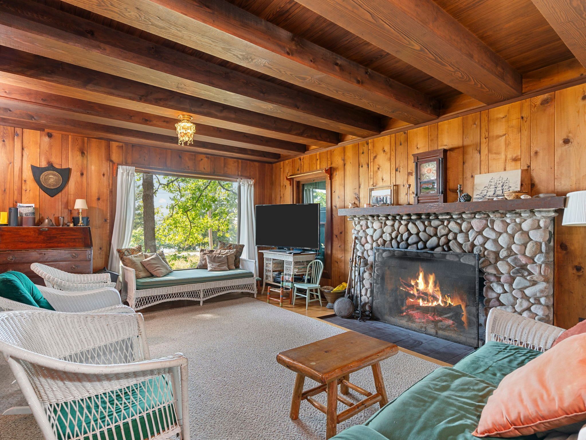 TV, fireplace, books