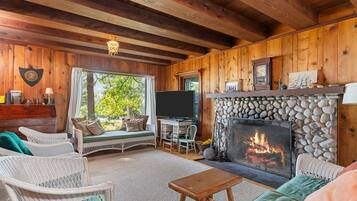 TV, fireplace, books