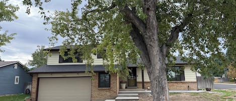 A residential house with a garage, a driveway, and a large tree in front.