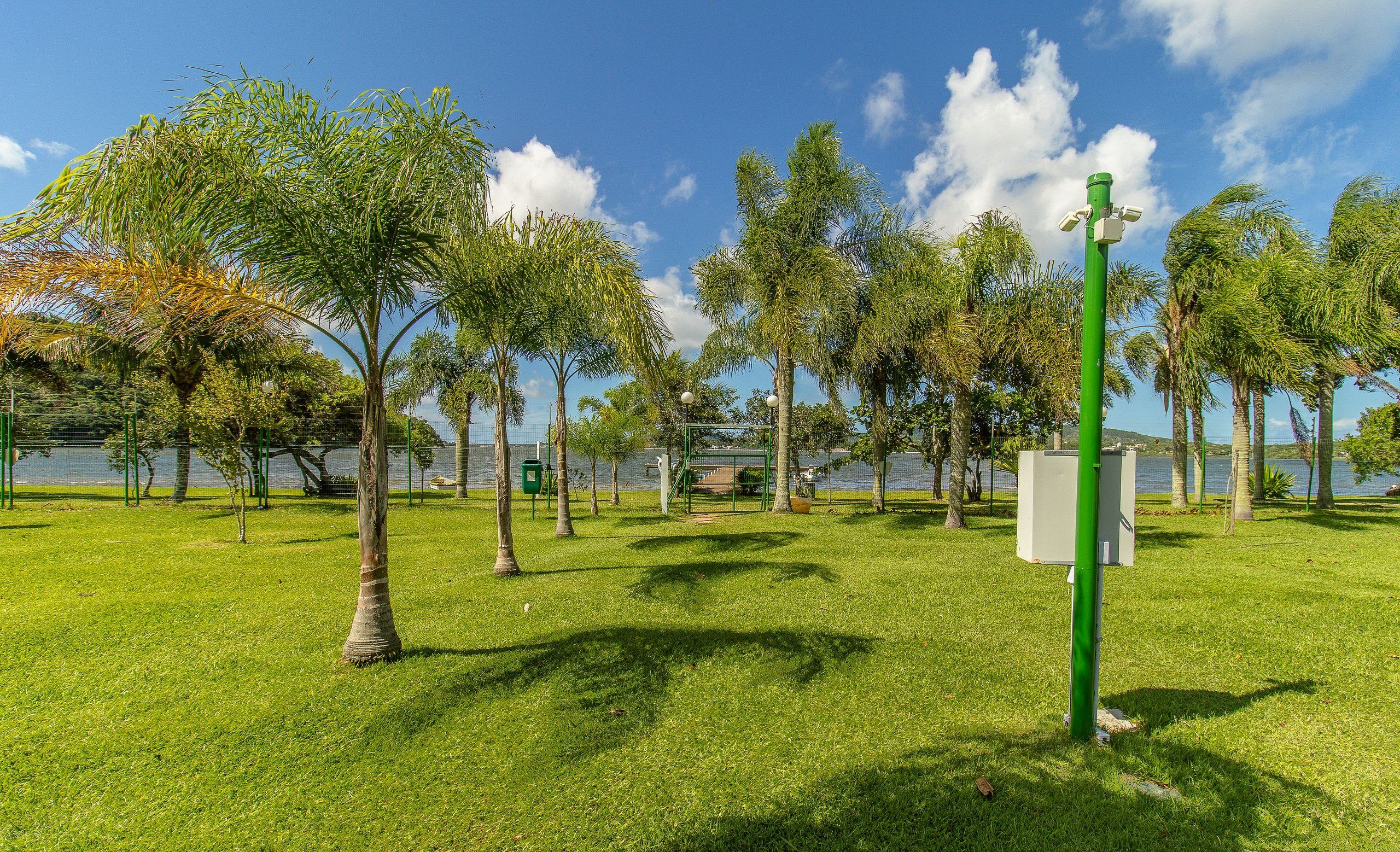 A park with grass, palm trees, a green pole, and a body of water in the background.