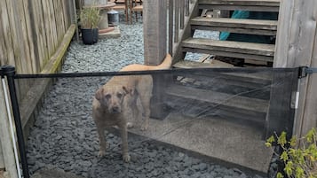 A wooden staircase with a mesh barrier, a concrete pillar, and a potted plant.