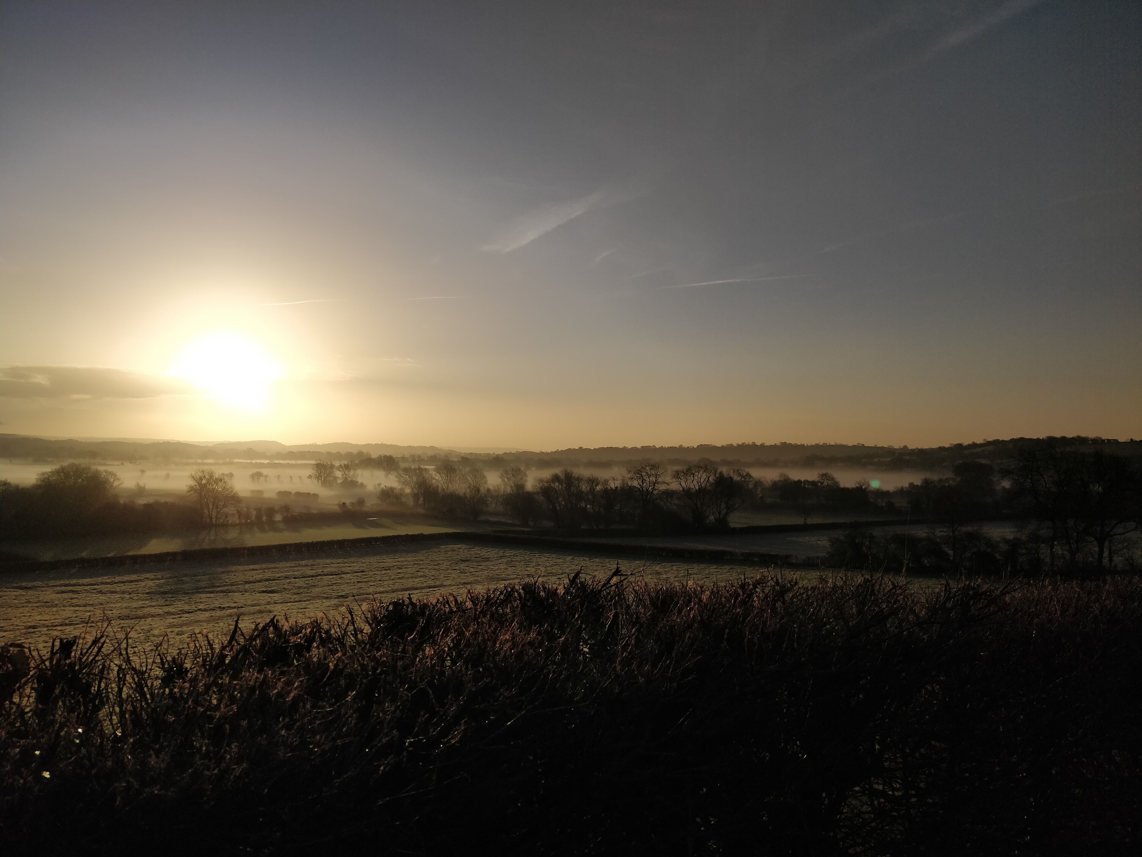 A rural landscape with a sunrise or sunset, fields, and trees.
