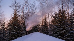 Eine Blockhütte mit roter Tür, umgeben von schneebedecktem Gelände und Bäumen.