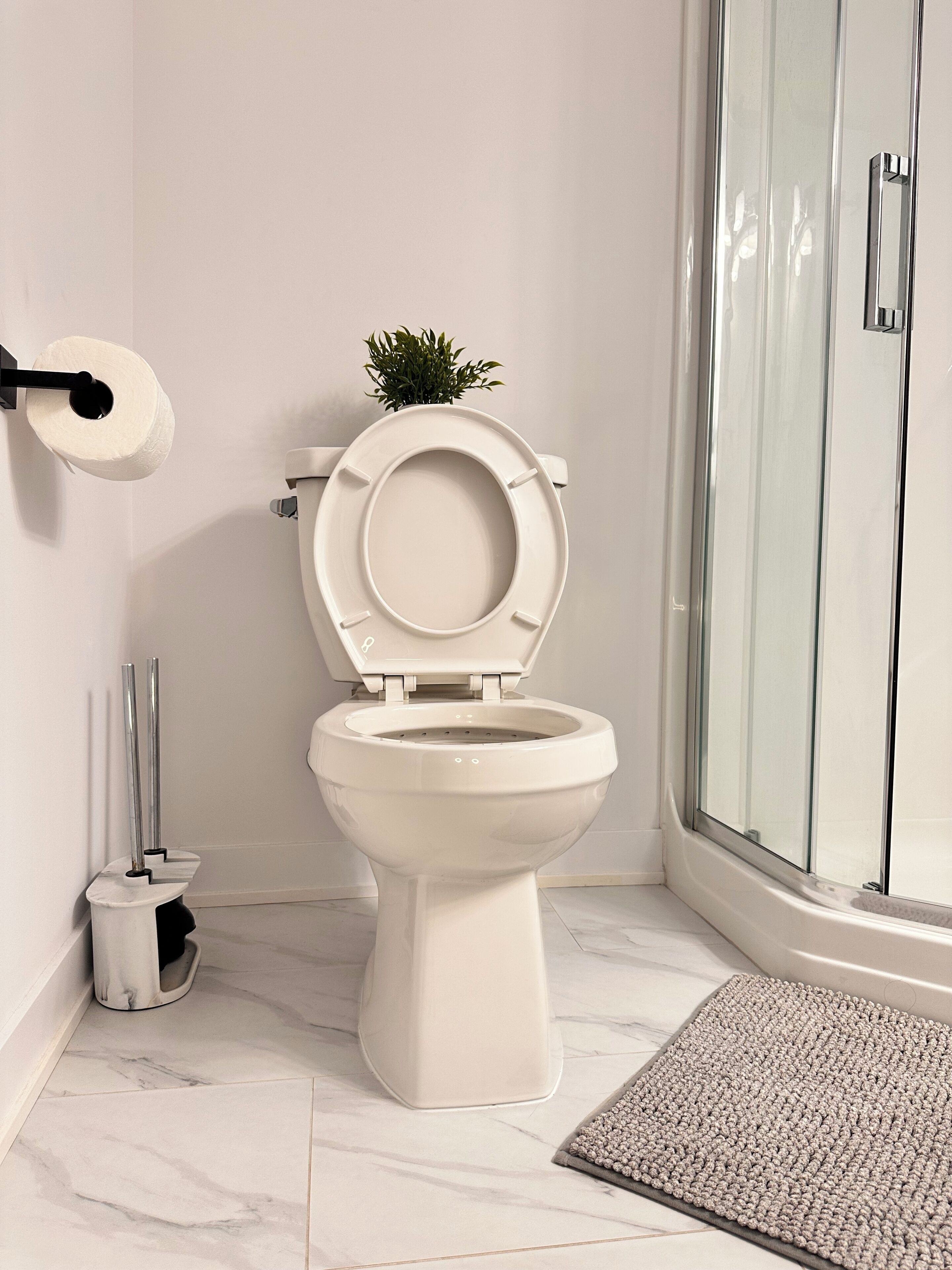 A modern bathroom with a toilet, a shower, and a small potted plant.
