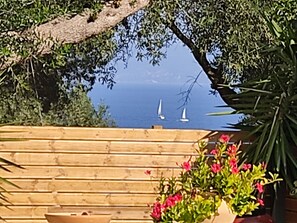 Property grounds - Suite Home Villa 
Your Paxos Paradise – Pool, Garden, Beaches Just Steps Away (Gaios)
