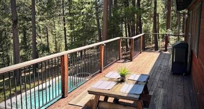 Casa Luna swim spa in the woods