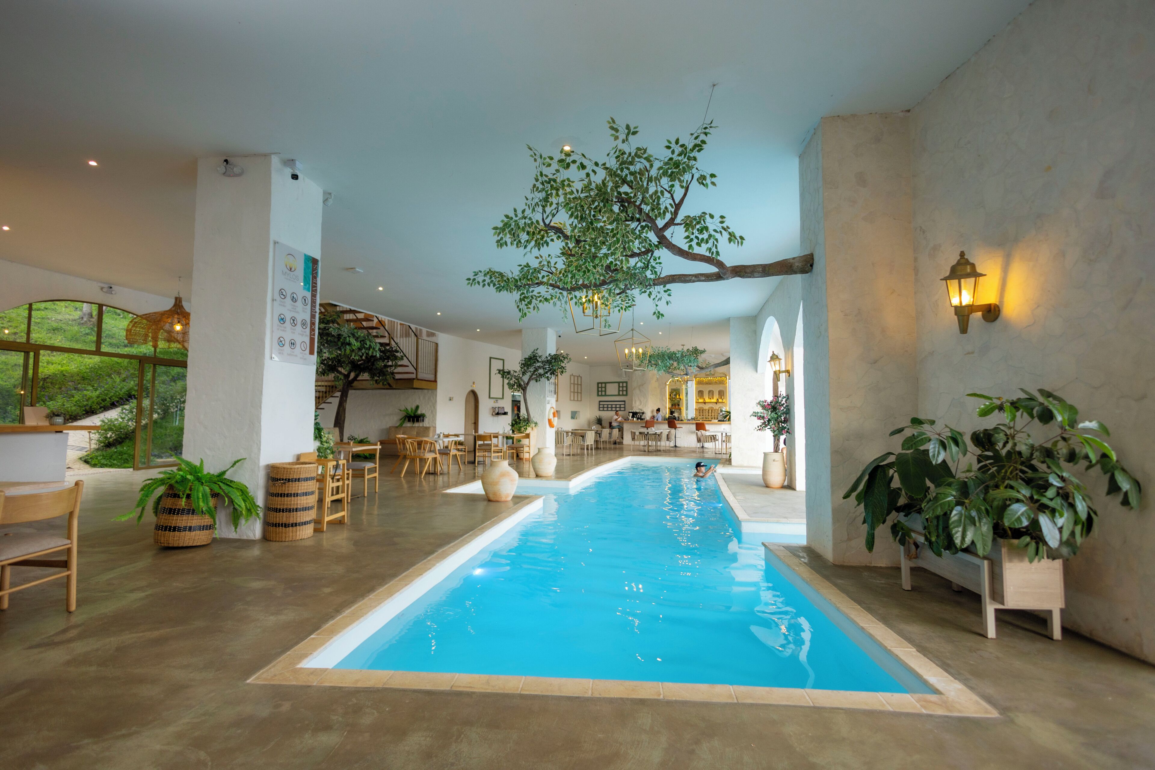 An indoor swimming pool with a tree installation, seating areas, and a bar/lounge in the background.