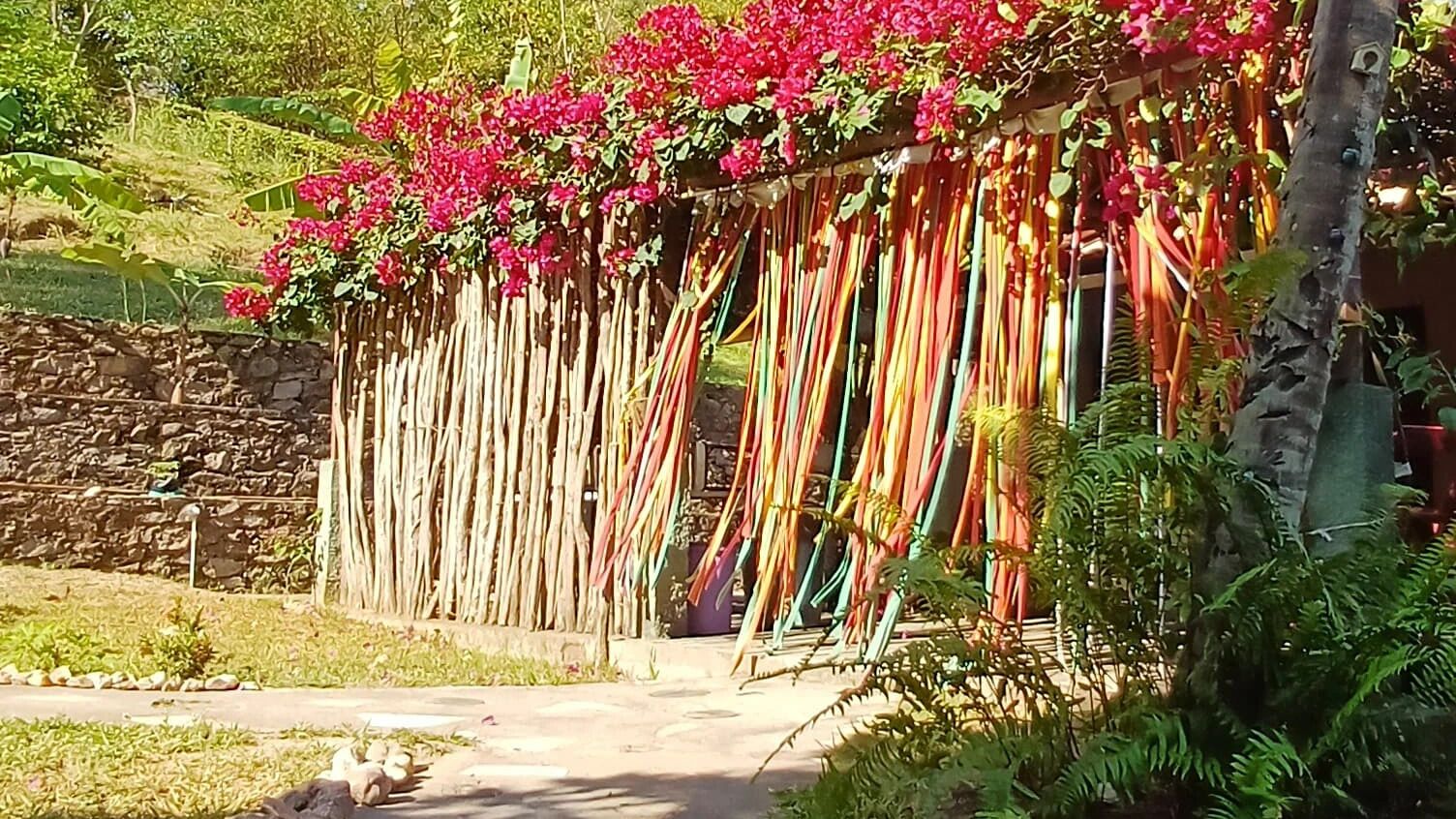 Jardim