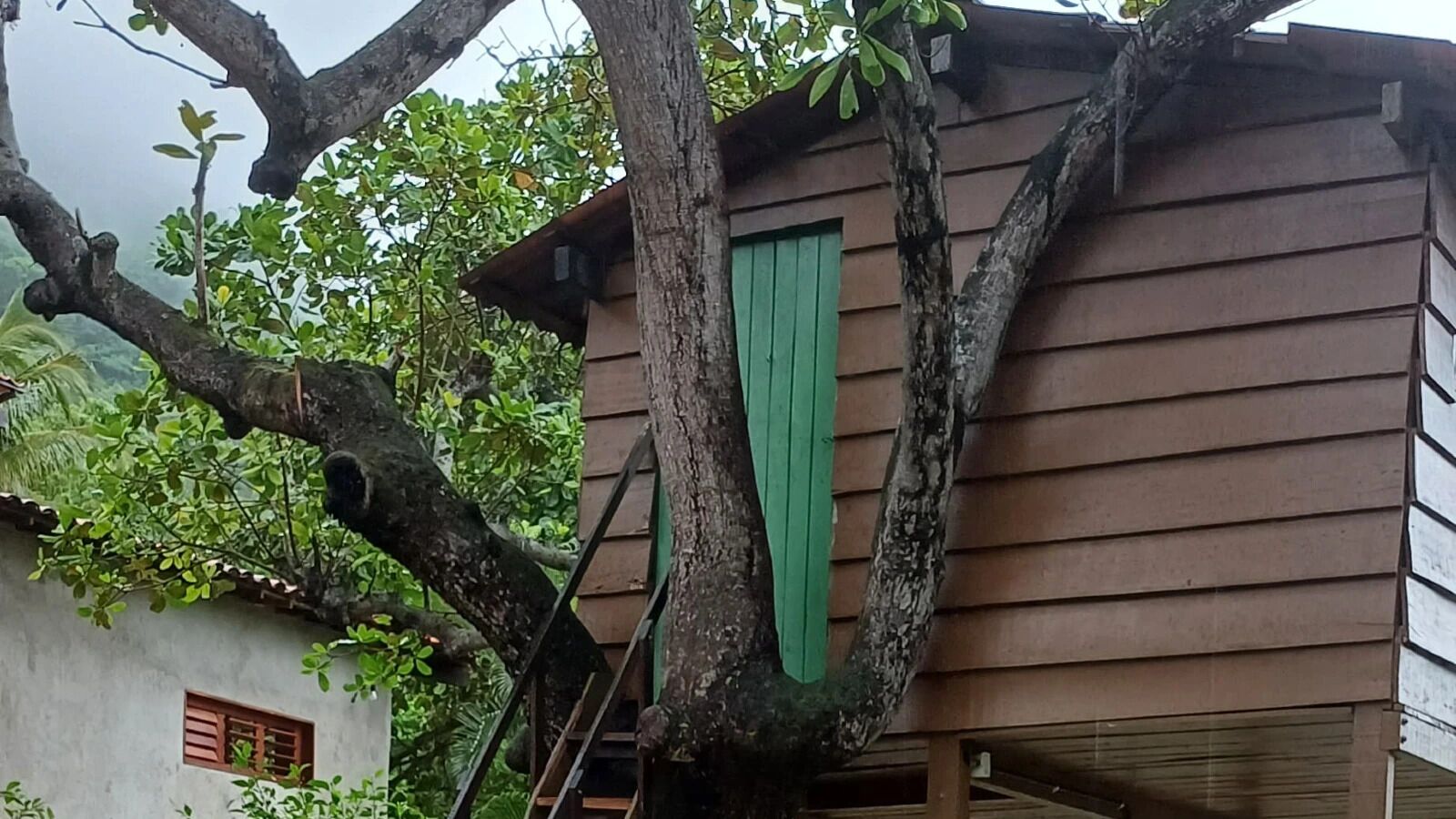 Casa na árvore | Wi-Fi de cortesia, roupa de cama