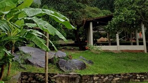 Tree House | Free WiFi, bed sheets