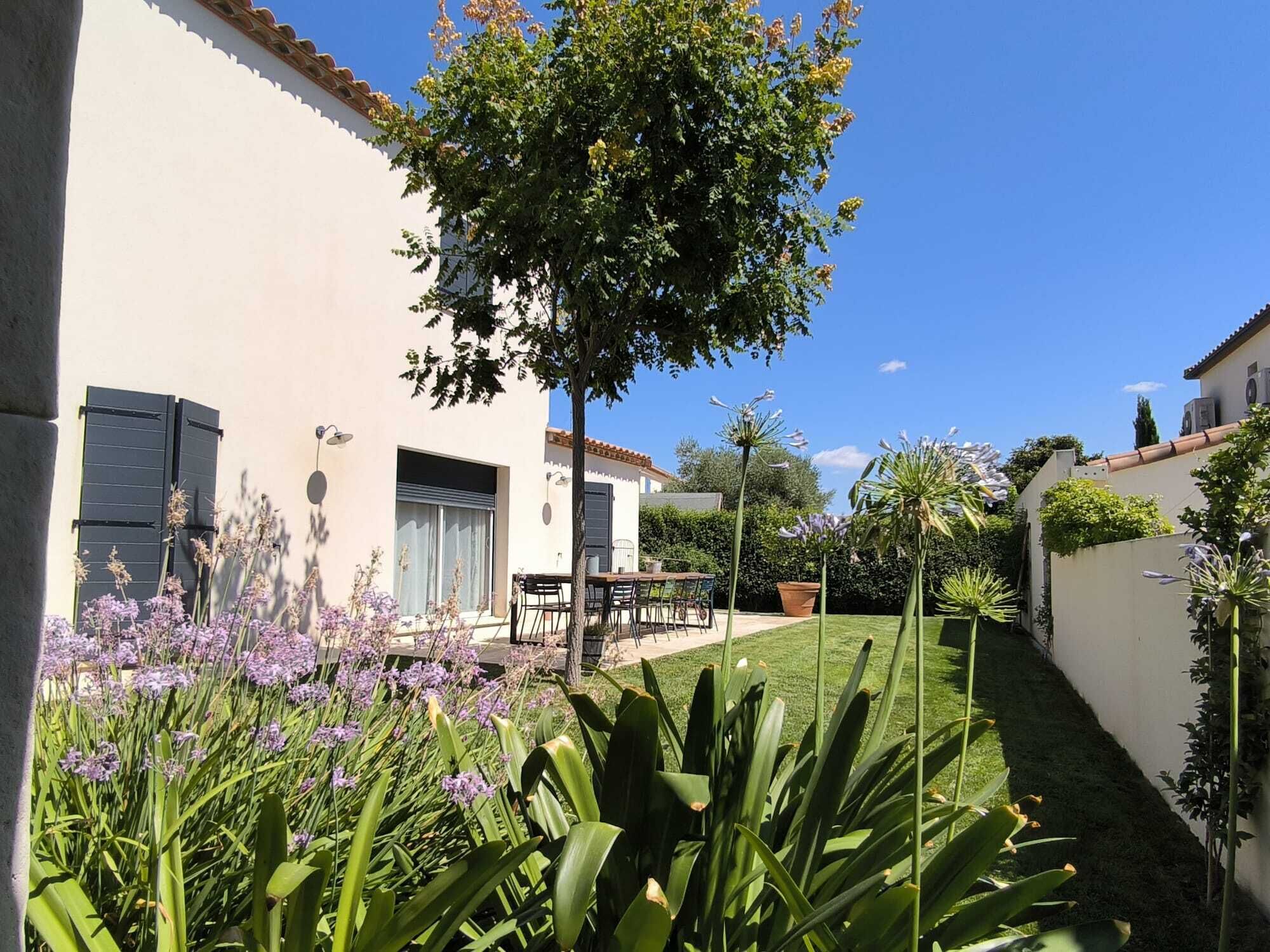A courtyard with a white building, a tree, and various plants.
