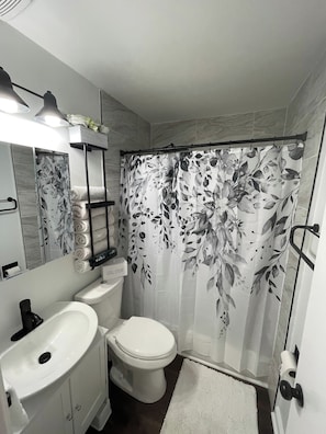 Hair dryer, towels, soap, toilet paper