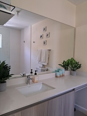 Shower, hair dryer, towels, soap